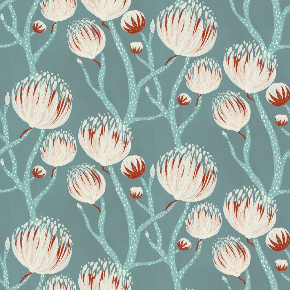 Dreamy Protea Blooms
