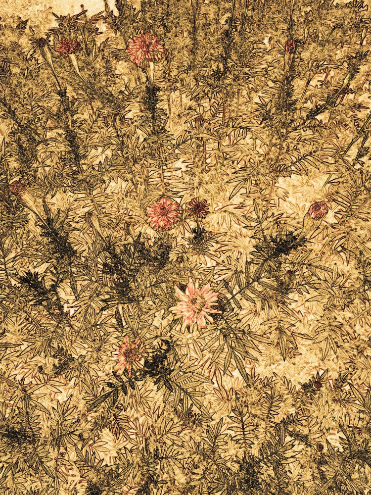 Whispering Blooms