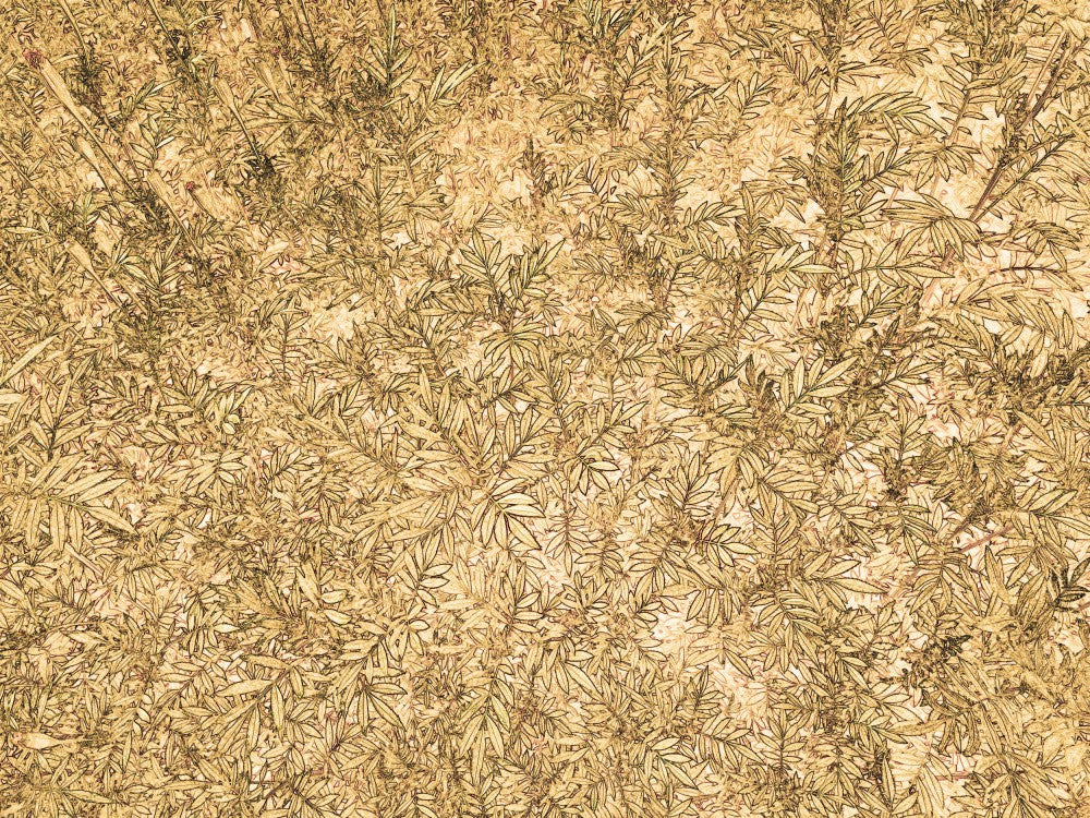 Golden Foliage Dance
