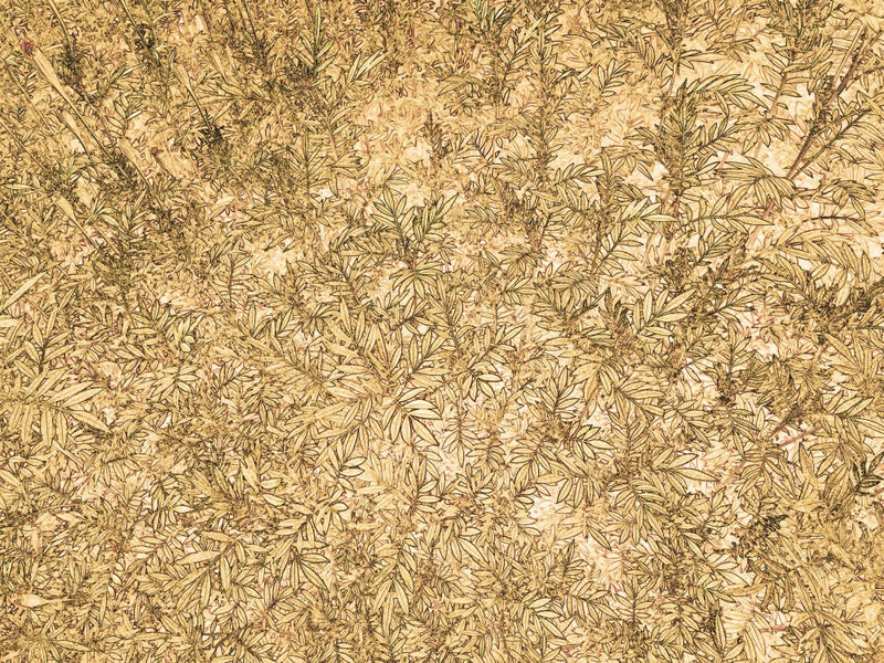 Golden Foliage Dance