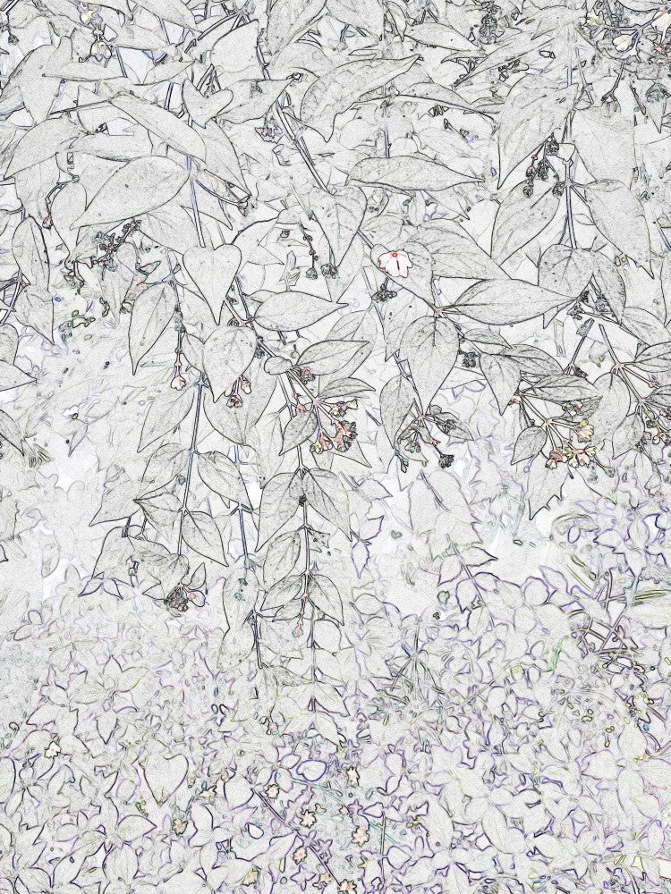 Whispering Leaves