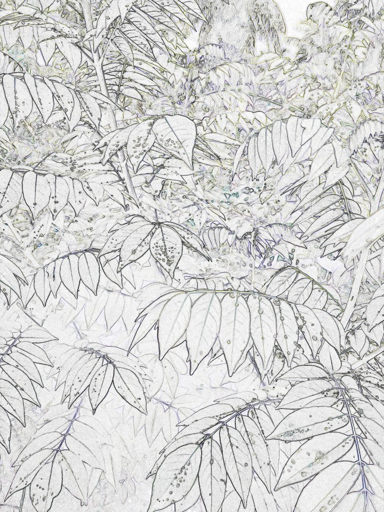 Whispering Leaves