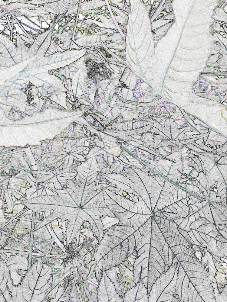 Veins of Nature