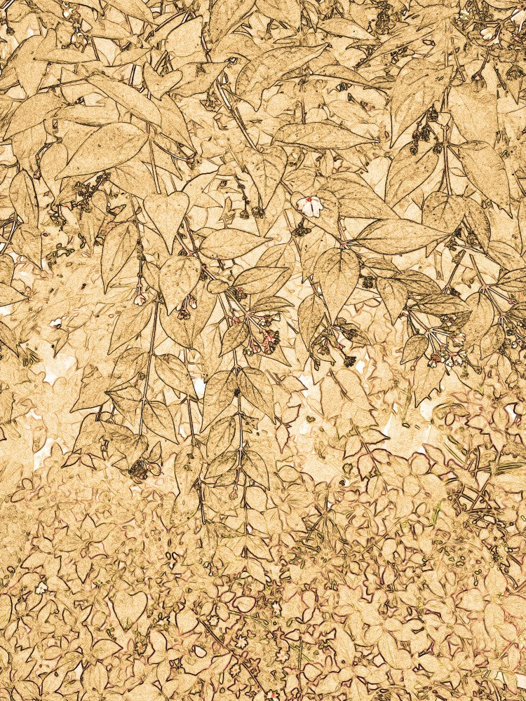 Golden Foliage
