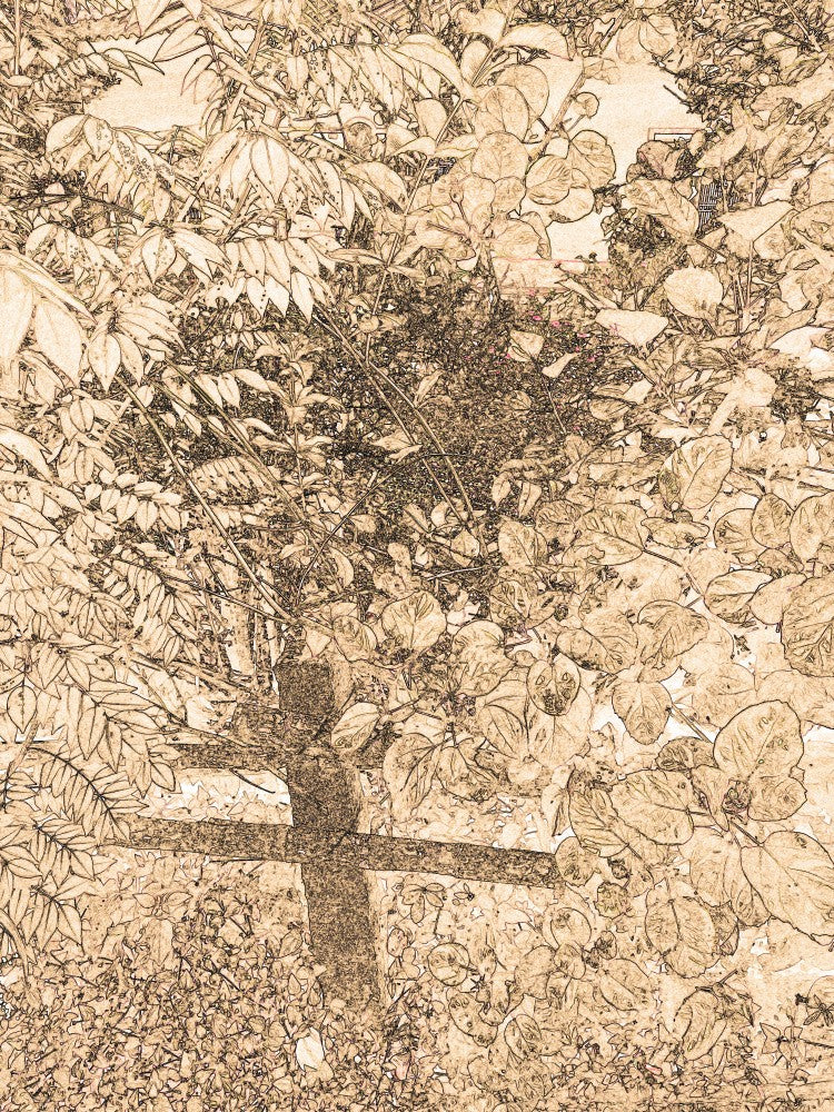 Whispering Leaves