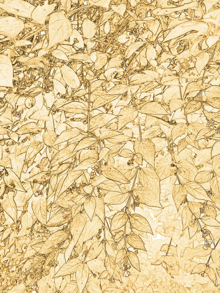 Golden Leaf Whispers