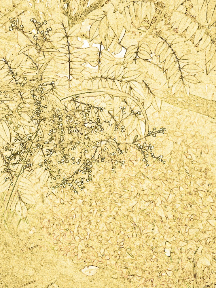 Golden Foliage Sketch