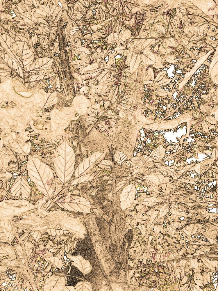 Intricate Foliage