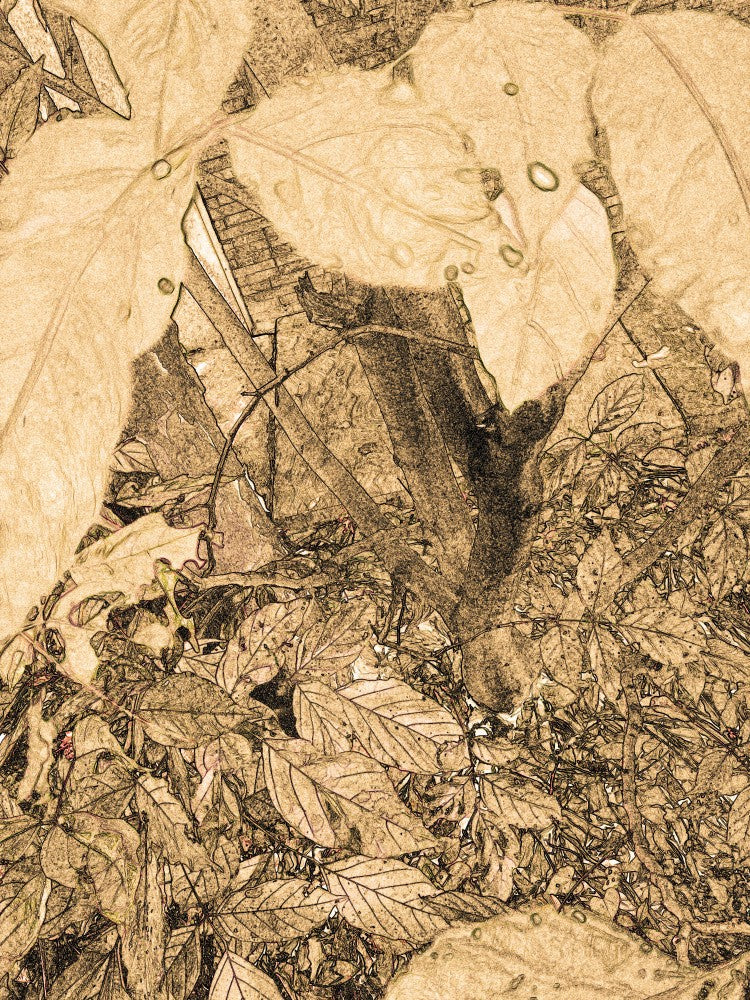 Whispering Foliage
