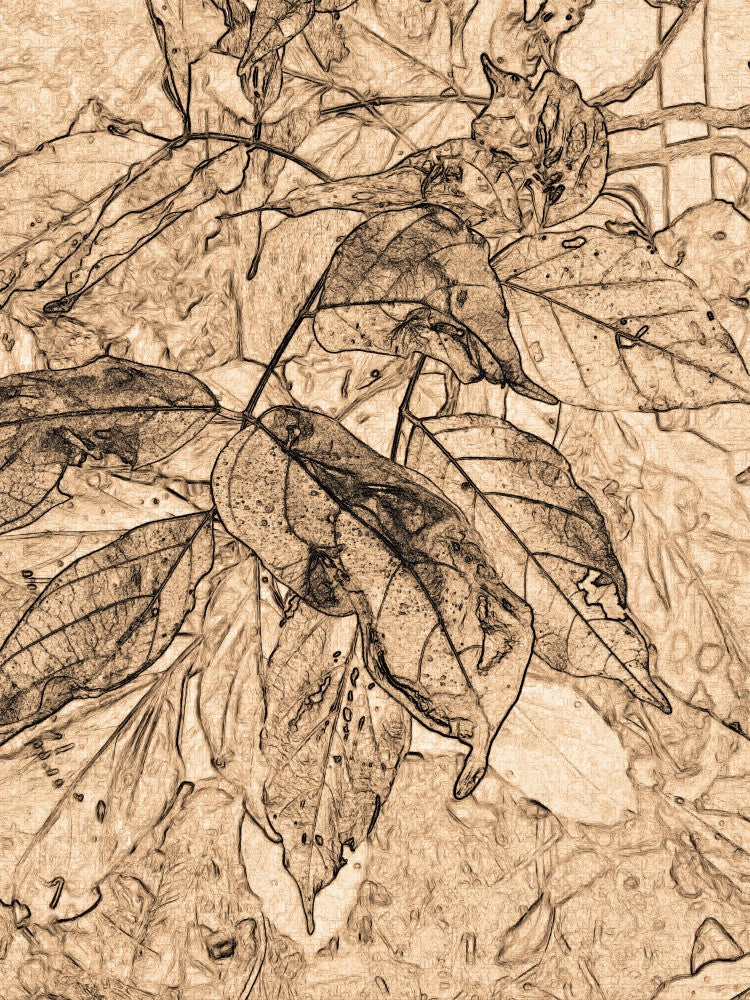 Sepia Leaf Symphony
