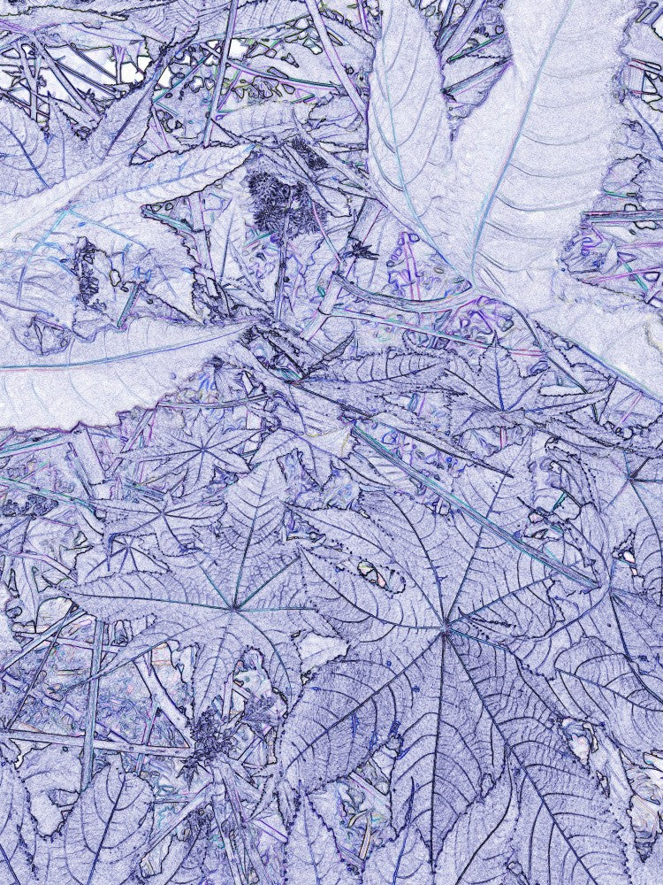 Labyrinthe de Feuilles Givrées
