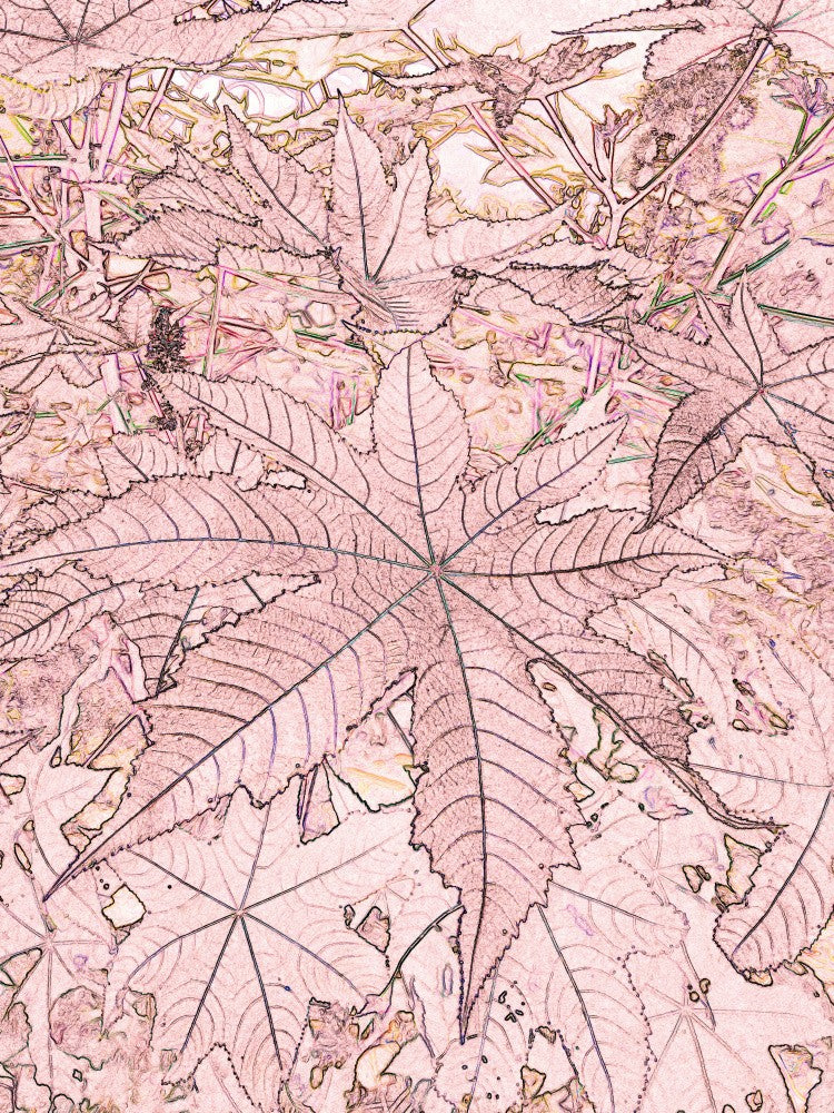 Blushing Leaves