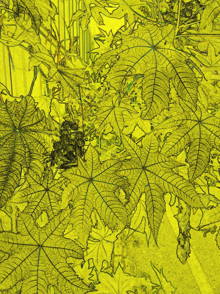 Verdant Impressions