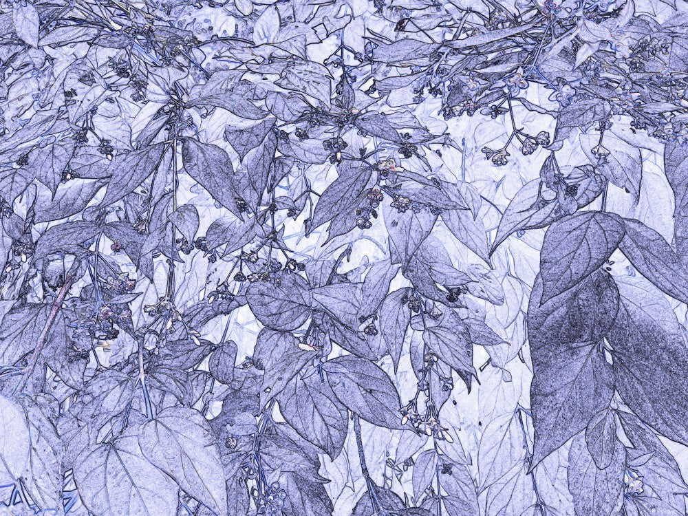 Paysage de Feuilles Fantaisiste