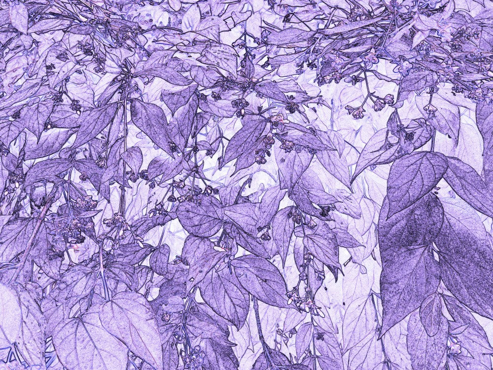 Purple Leaf Whimsy