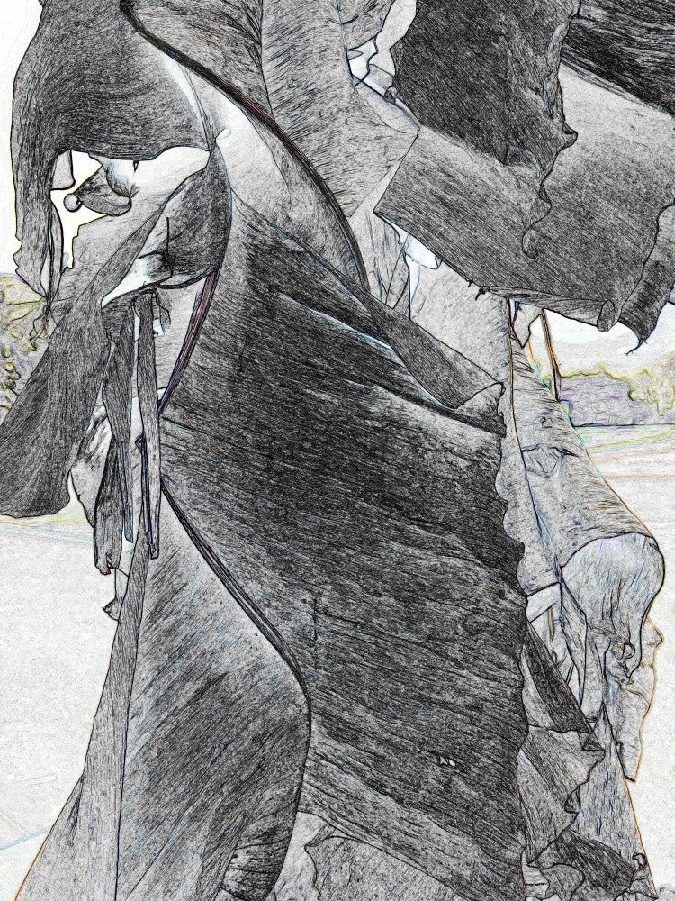 Twisting Shadows