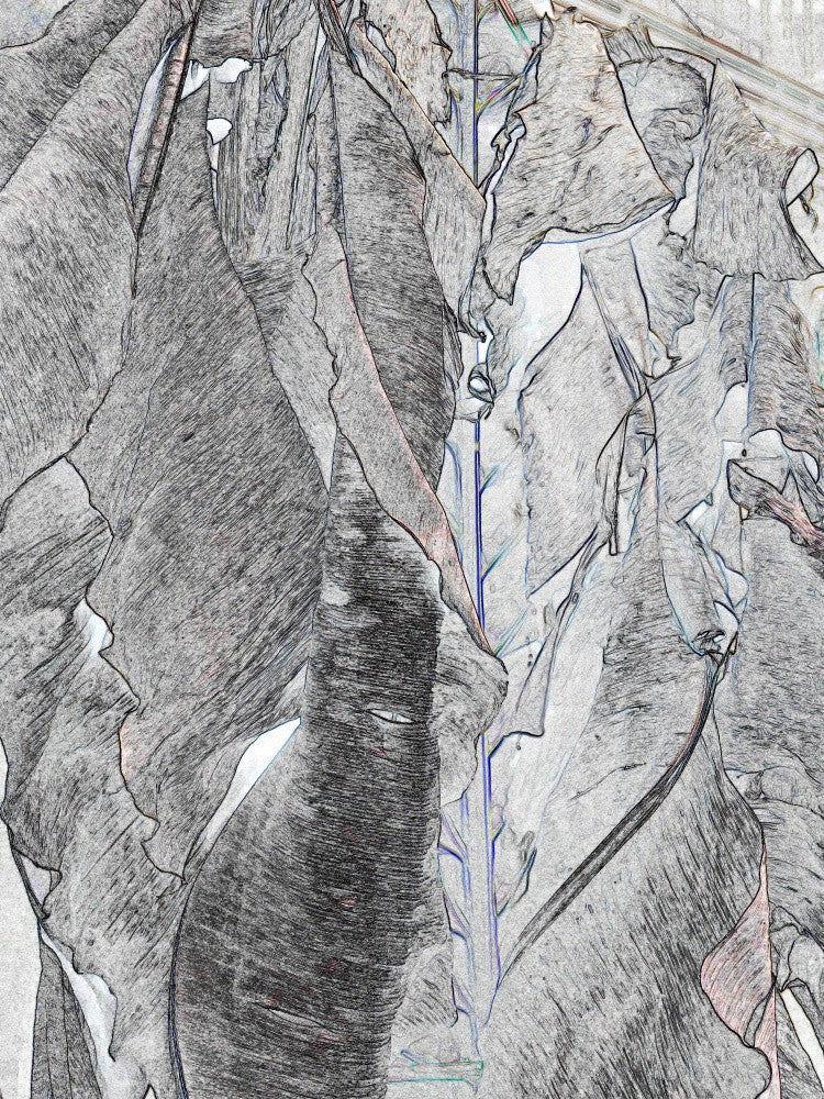 Veins of Nature