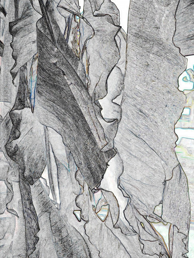 Whispering Leaves