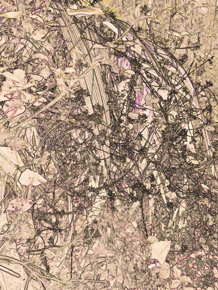 Whimsical Nature Tapestry