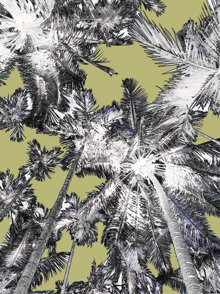 Tropical Canopy Burst