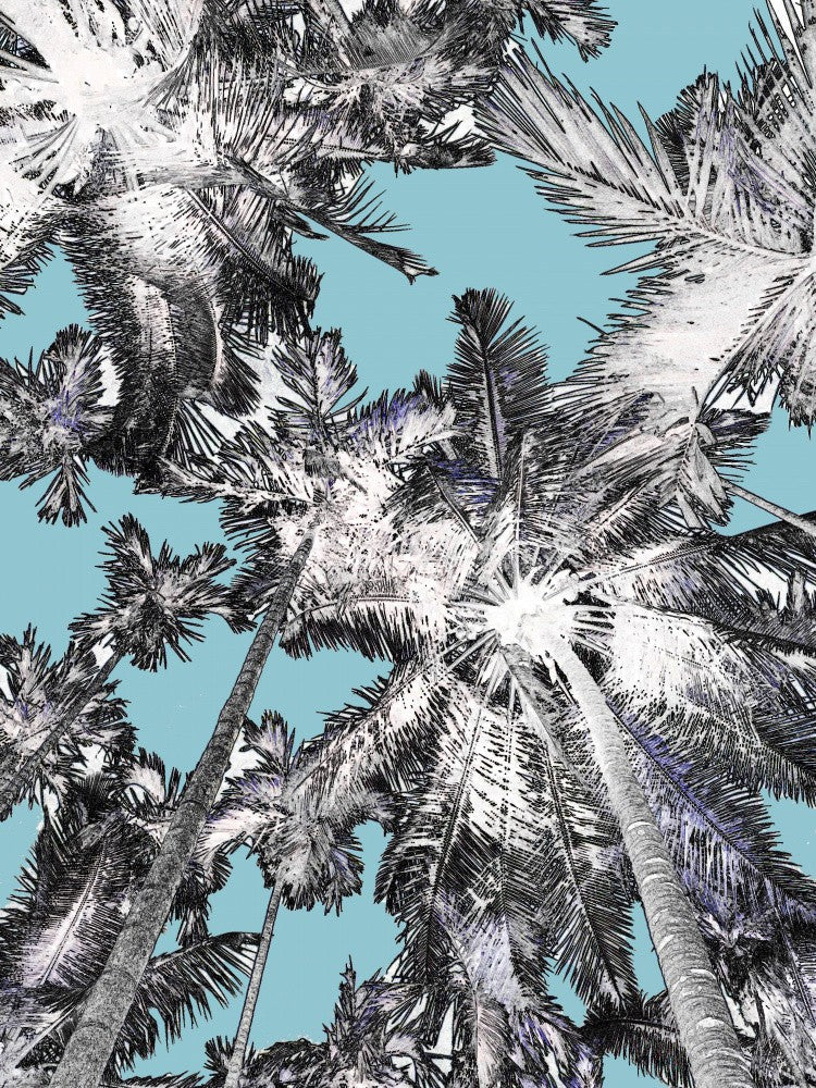 Skyward Palms