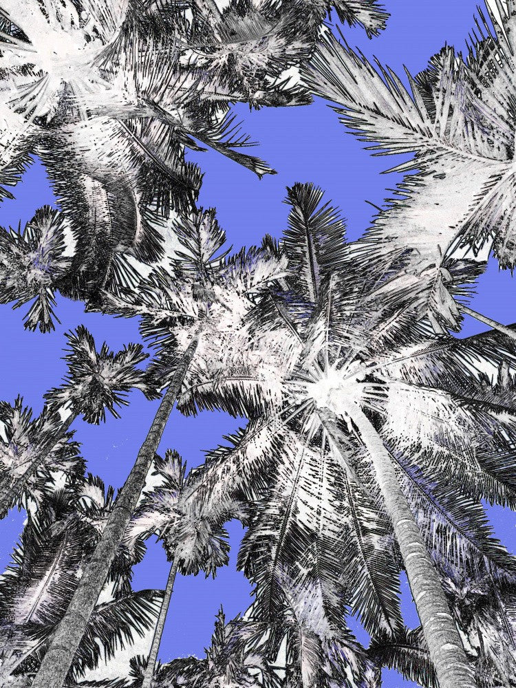 Tropical Canopy