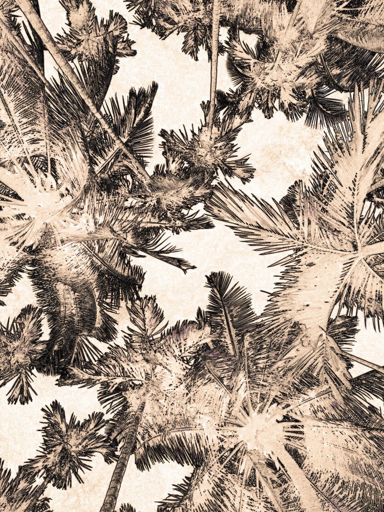 Palms in Motion