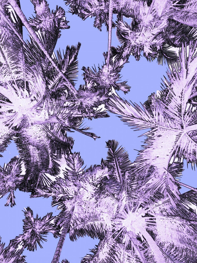 Tropical Treetops