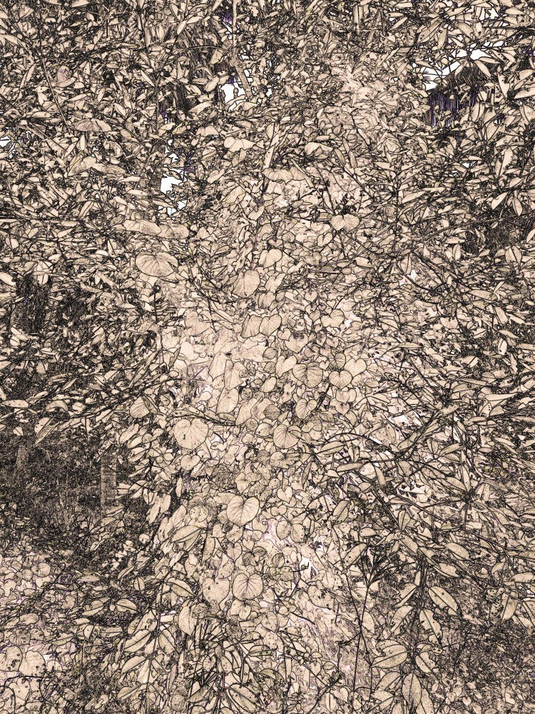 Leafy Labyrinth