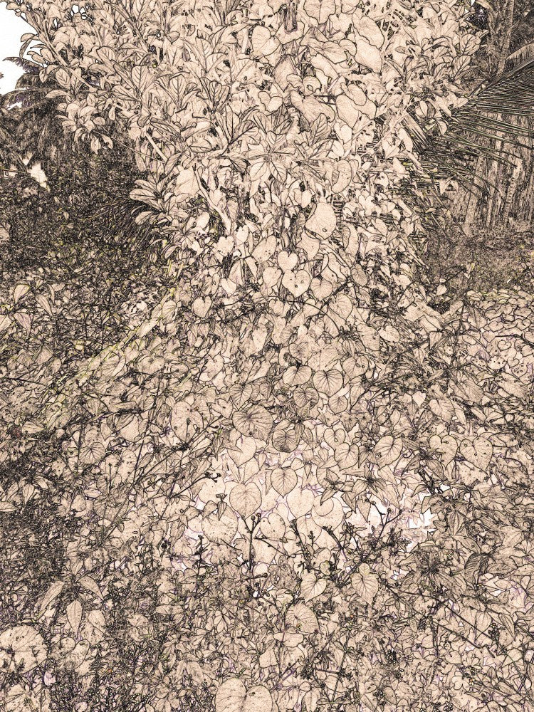 Verdant Whispers