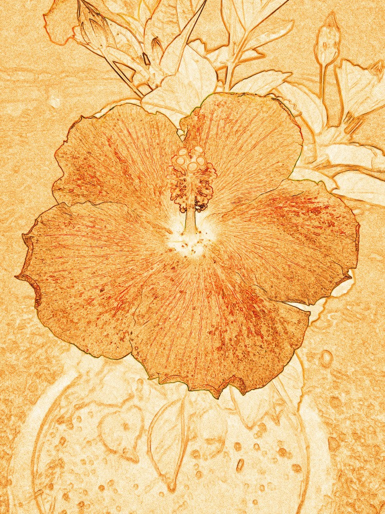 Golden Bloom Essence