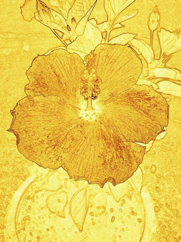 Golden Blossom Glow