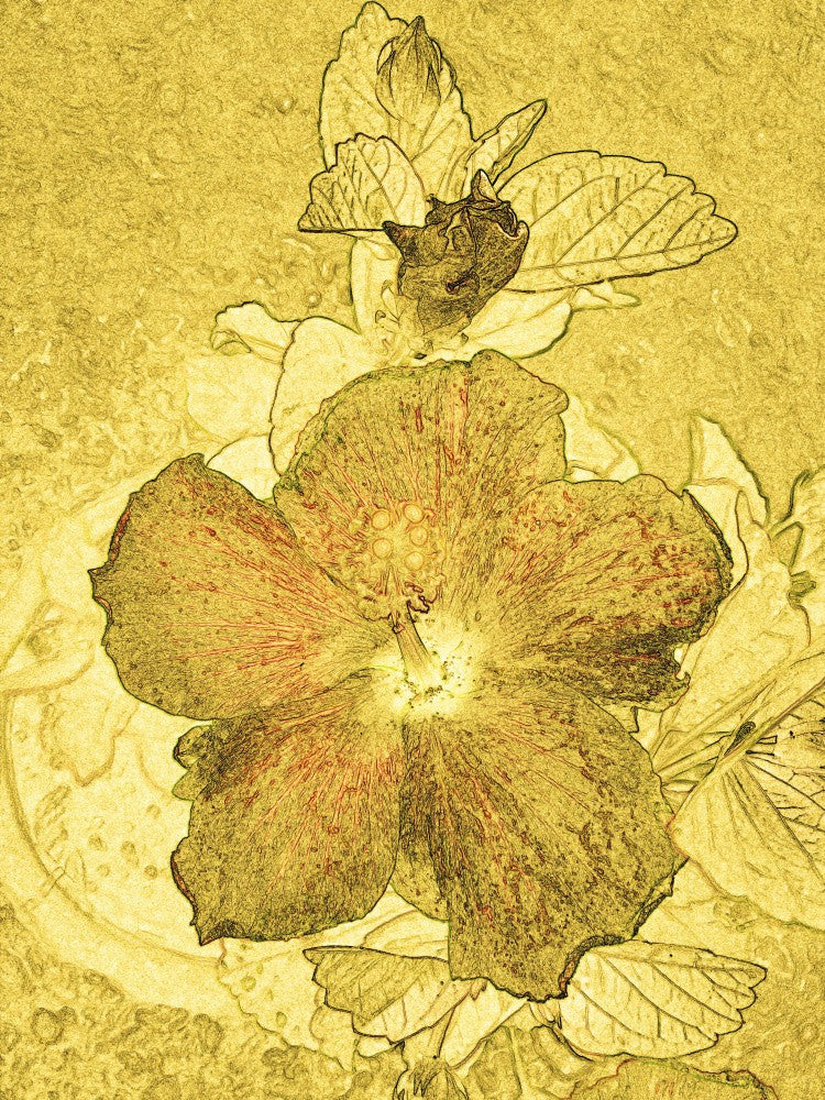 Essence de floraison dorée