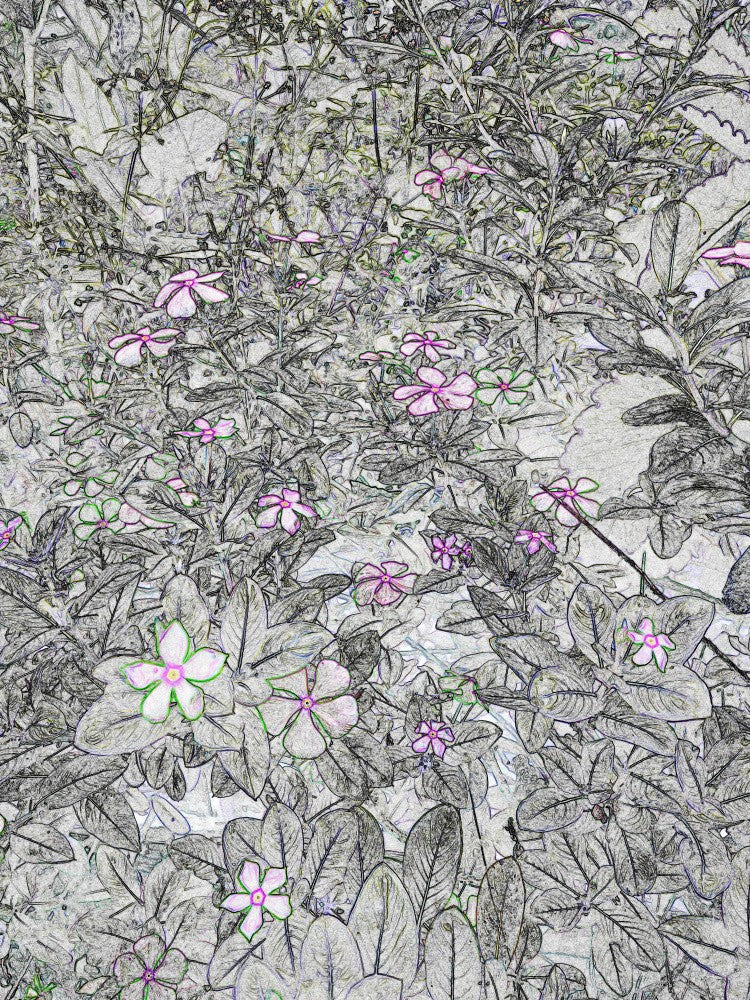 Flüsternde Flora