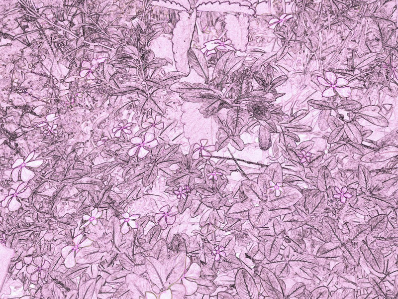 Pastel Blossom Whisper