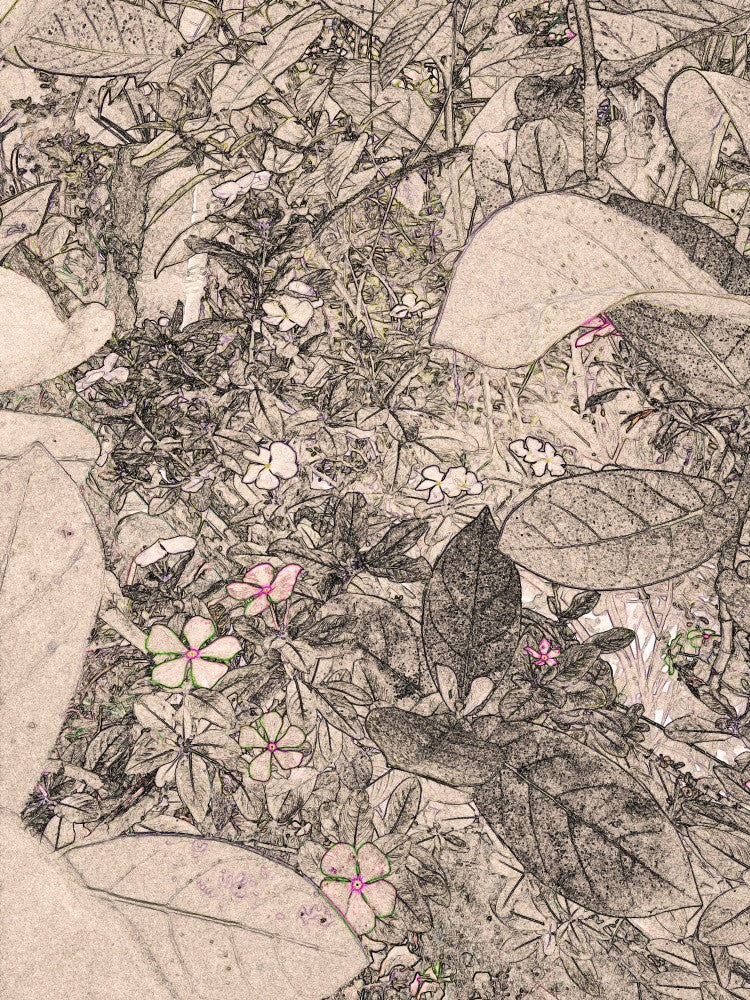 Floral Whispers
