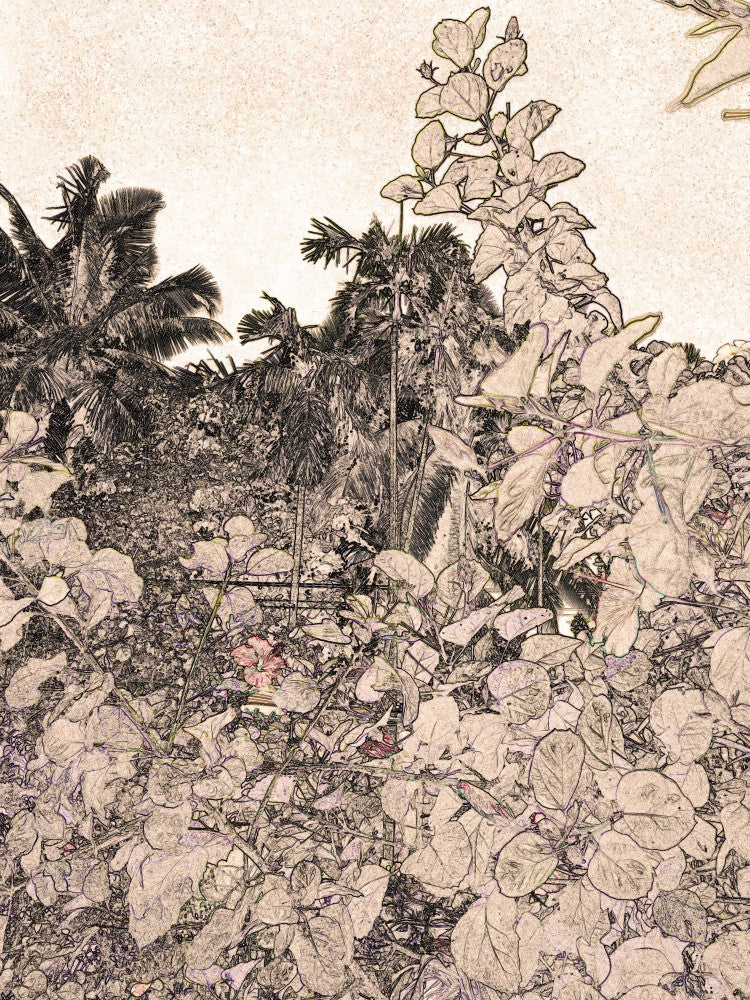 Tropical Whispers