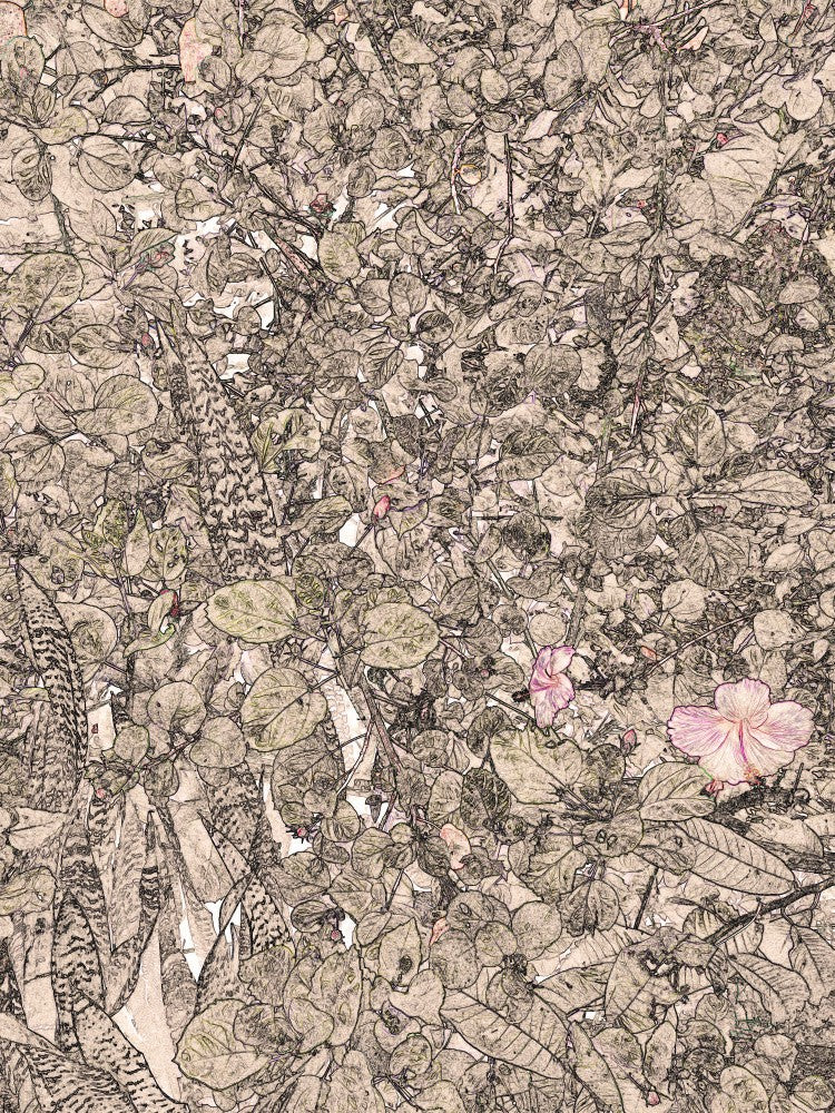 Whispers of Flora