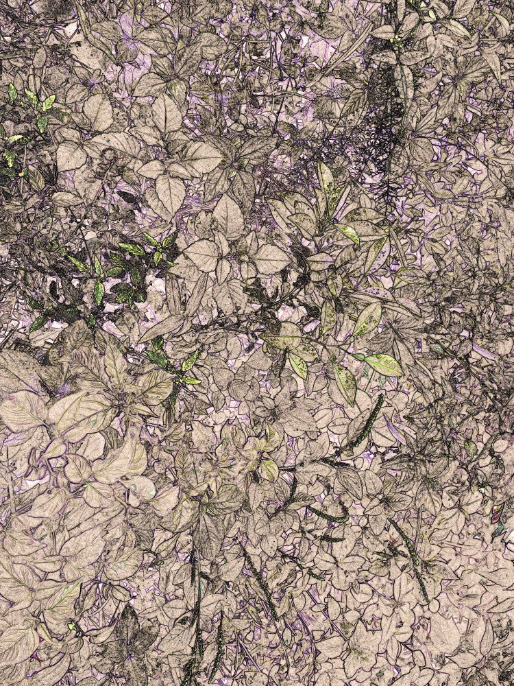 Floral Dreamscape