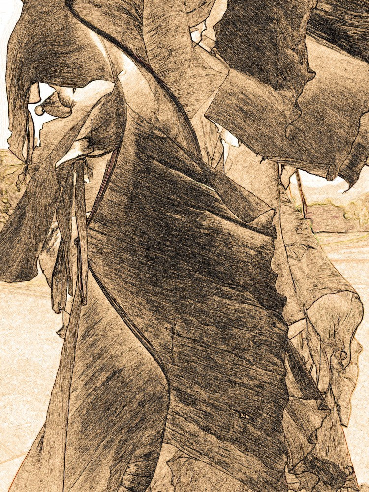 Flowing Textures