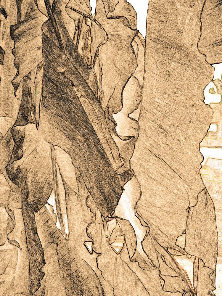 Flowing Earth Tones