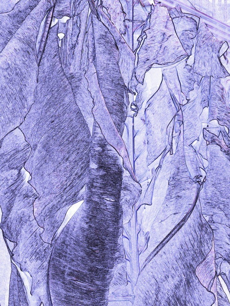 Purple Leaf Canvas