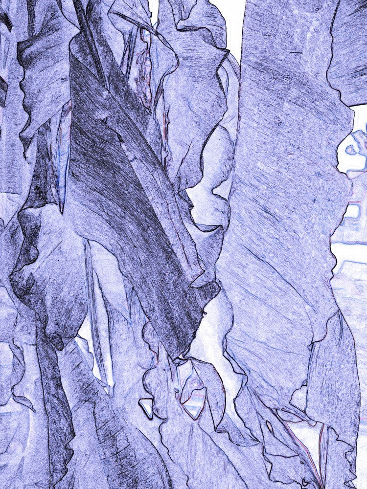 Whispering Leaves