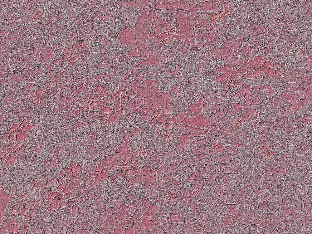 Petals of Illusion