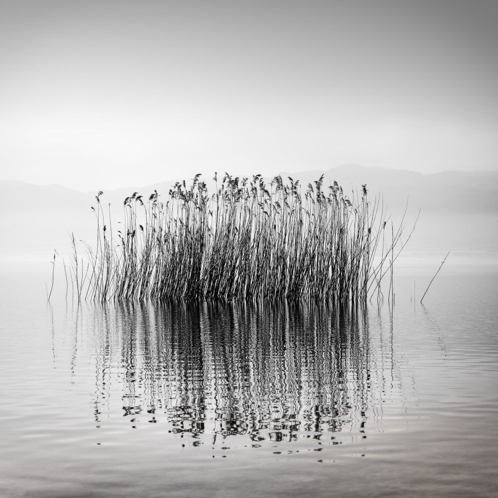 Quiet Waters
