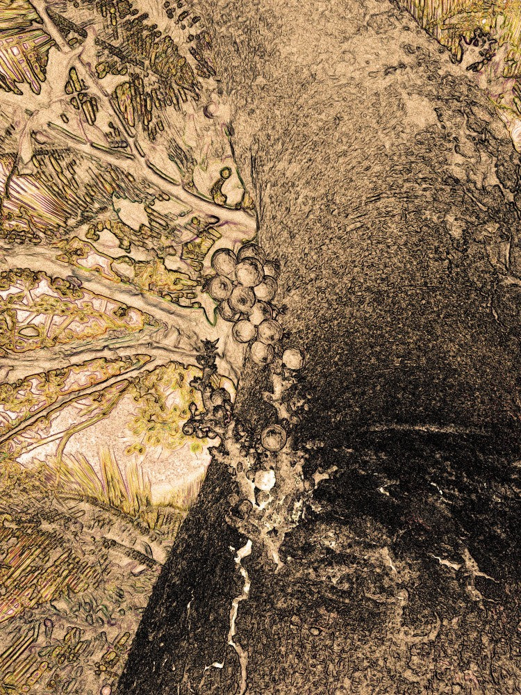 Nature's Textures