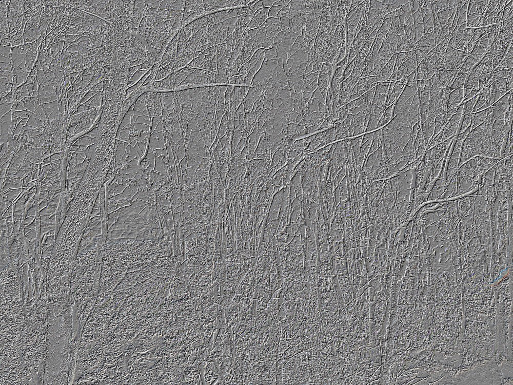 Gray Woodland Texture