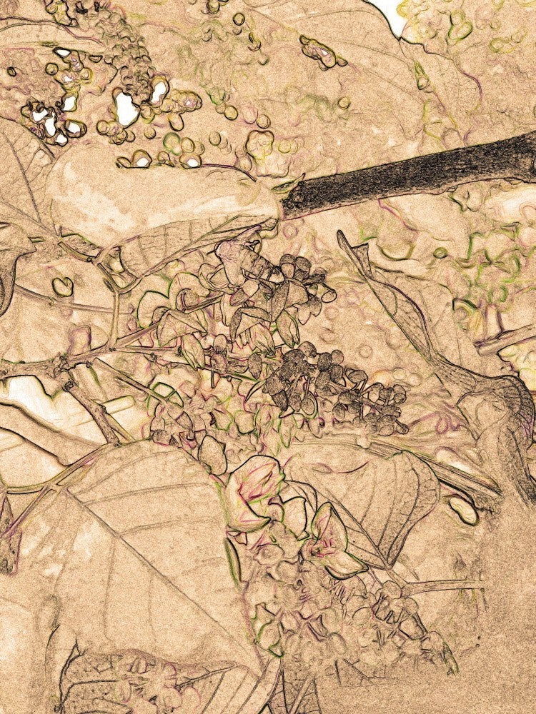 Golden Branch Dream