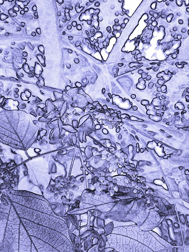 Azure Leaf Dream