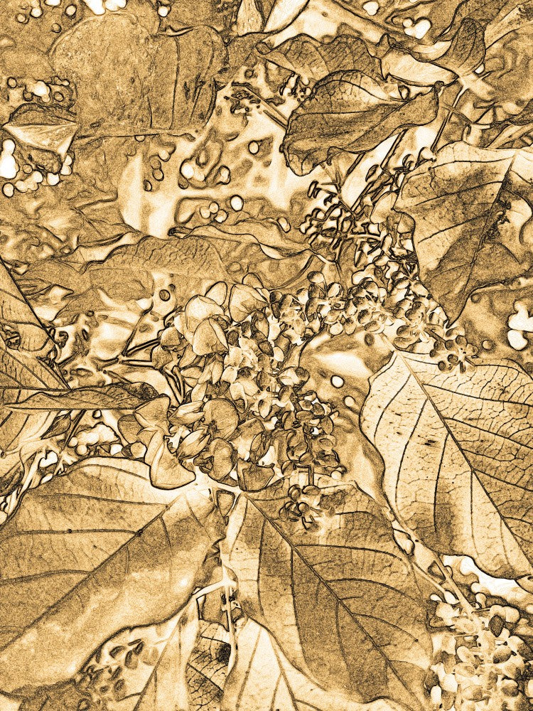 Golden Foliage Dream